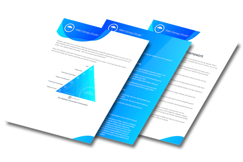 website conversion assessment