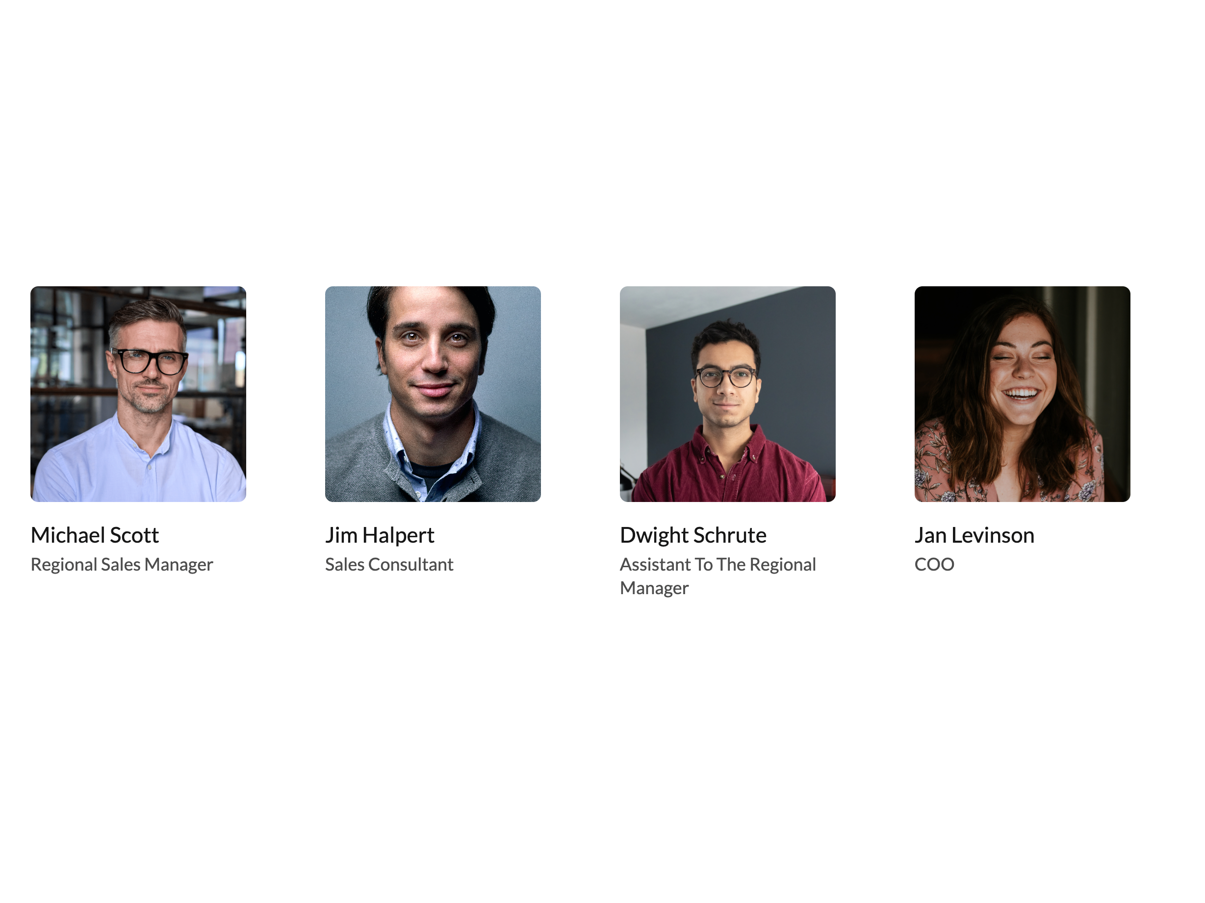 Meet The Team Modules